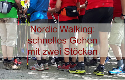 Nordic Walking – das Ausdauertraining für alle