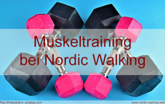 Nordic Walking Muskulatur