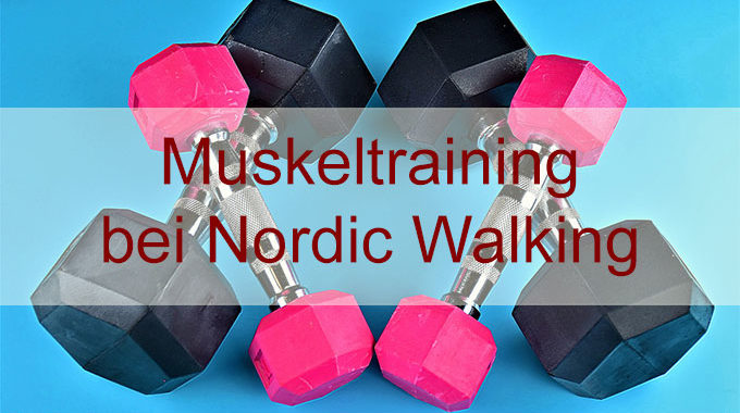 Nordic Walking Muskulatur