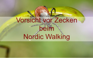 Welche Zecken sind gefährlich? Zeckenbiss Nordic Walking Sport