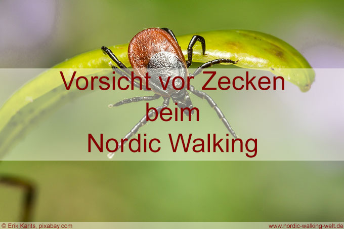 Zeckenbiss beim Nordic Walking Sport