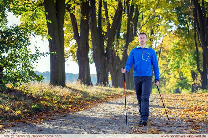 Nordic Walking Trainingsplan für Anfänger bzw. Einsteiger - ein Mann walked durch den Wald
