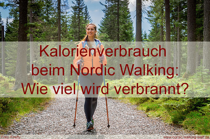 Kalorienverbrauch beim Nordic Walking: Wie viel wird wirklich verbrannt?